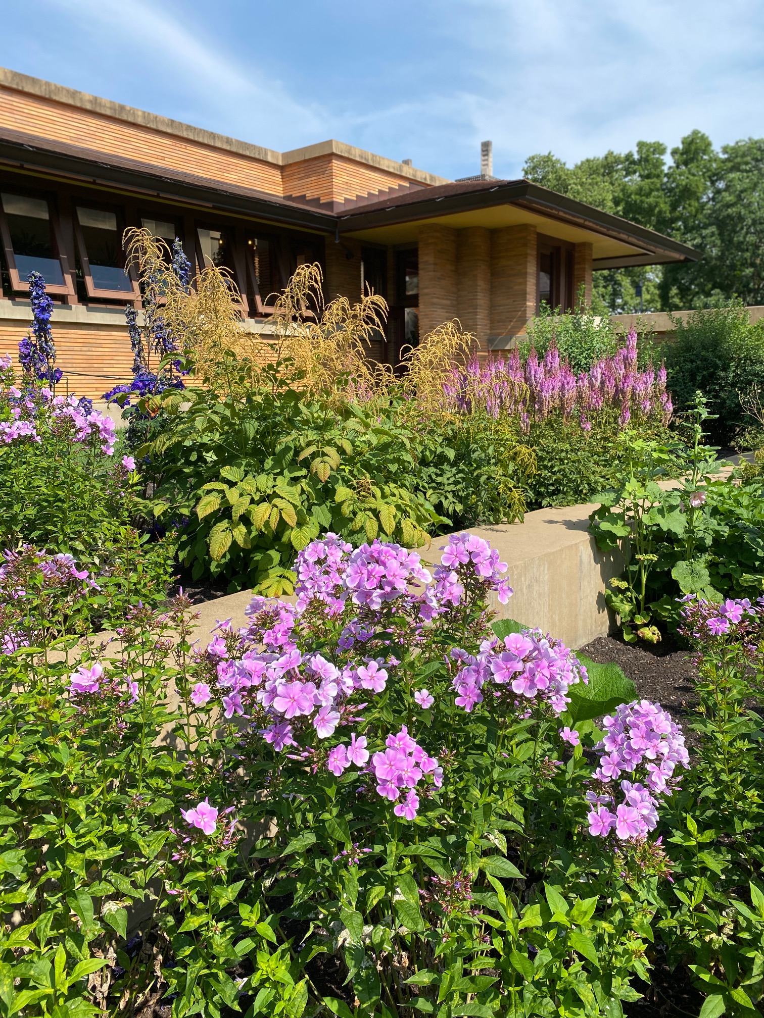 Martin House Back in Bloom