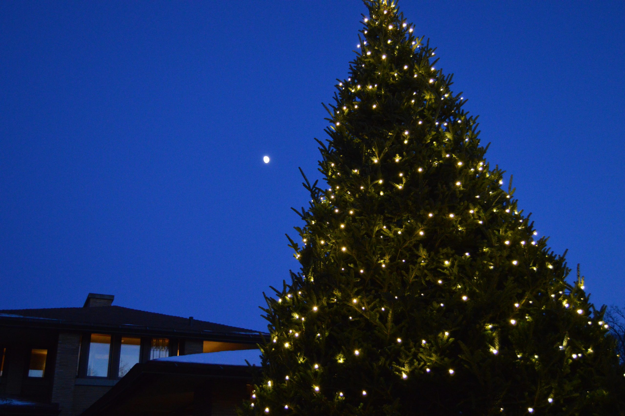 MH tree
