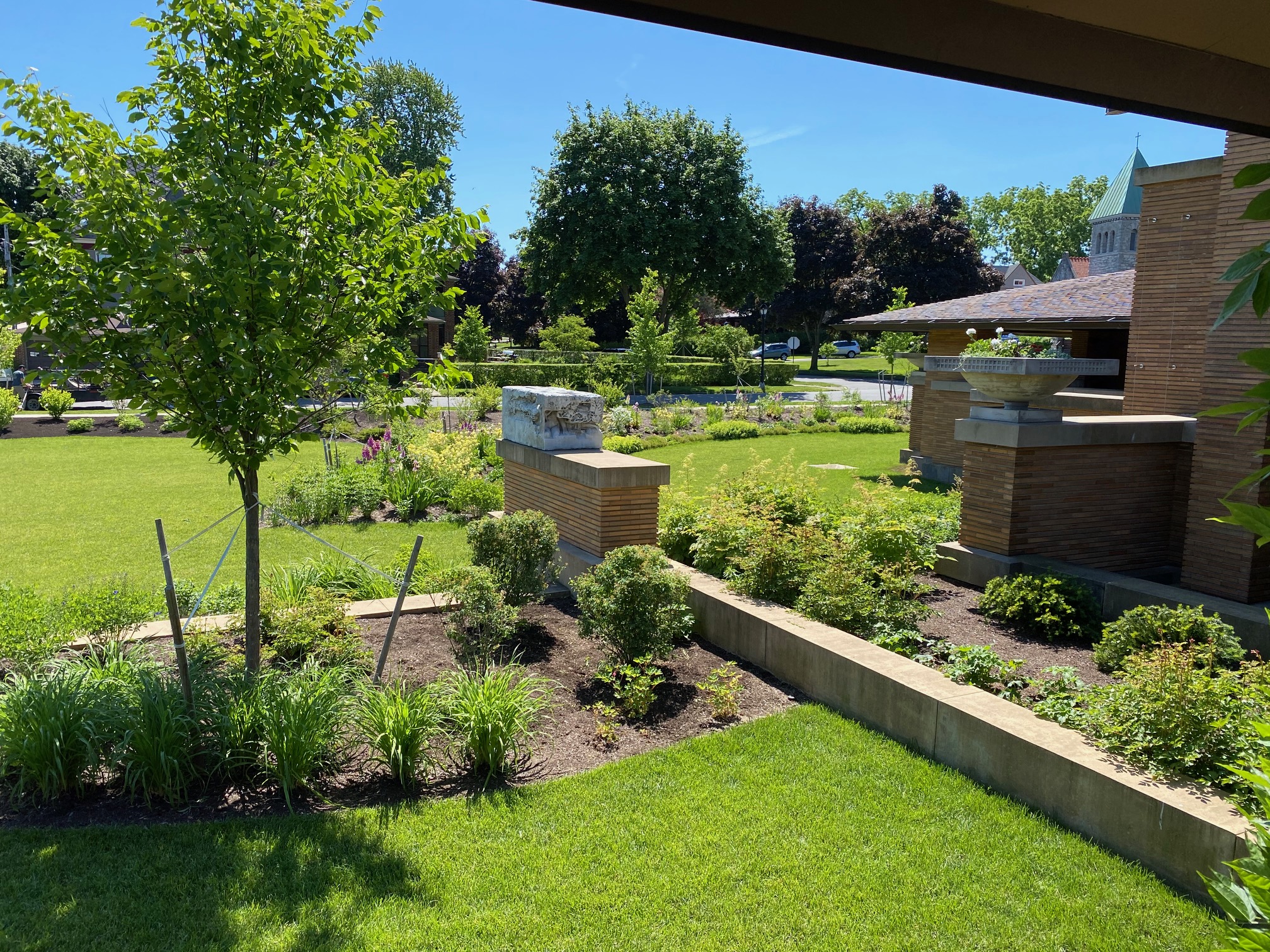 Restoring the landscape vision at Darwin Martin House