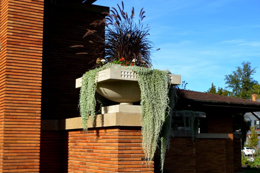 Exterior Foliage