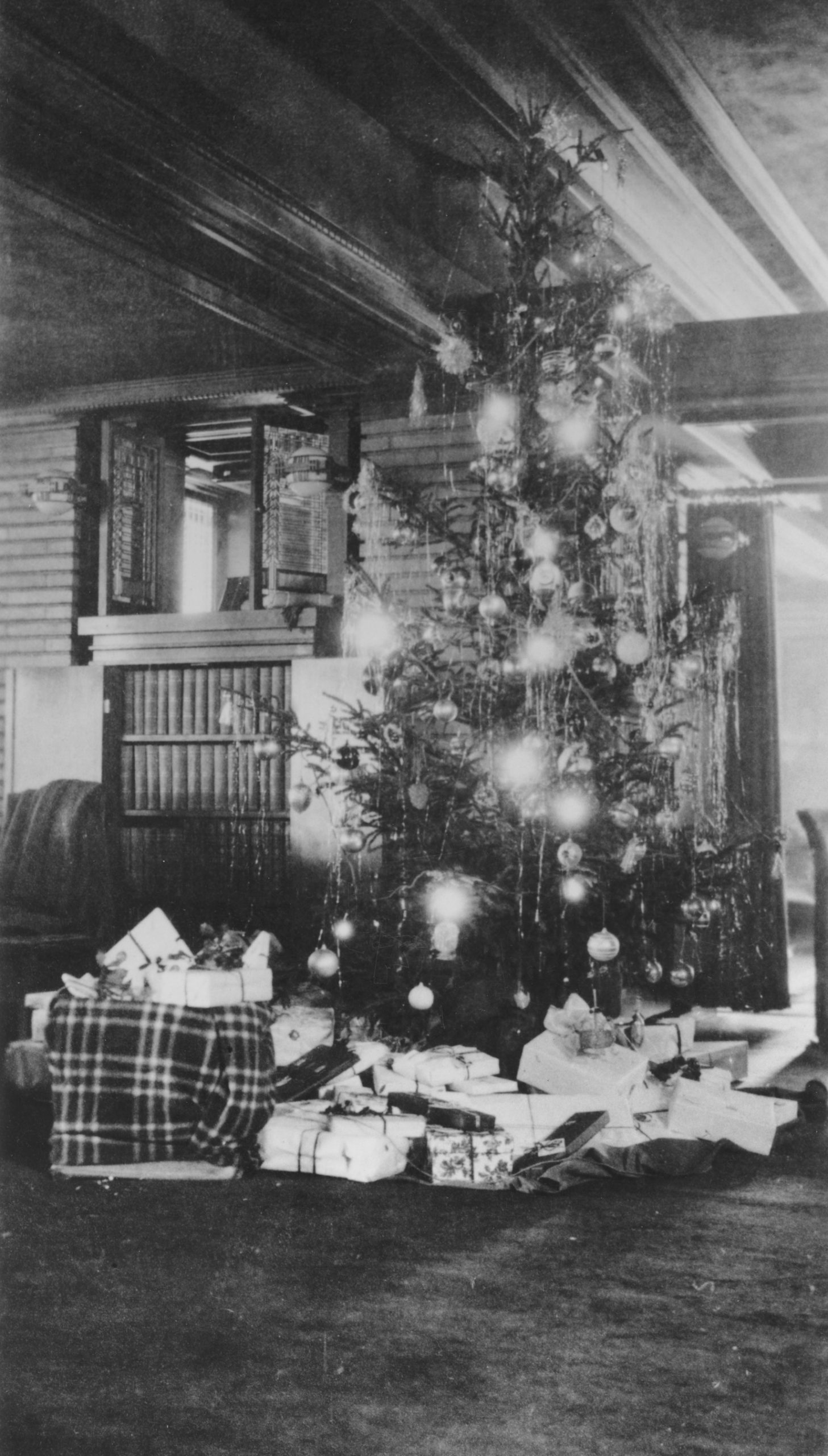 MH historic holiday tree