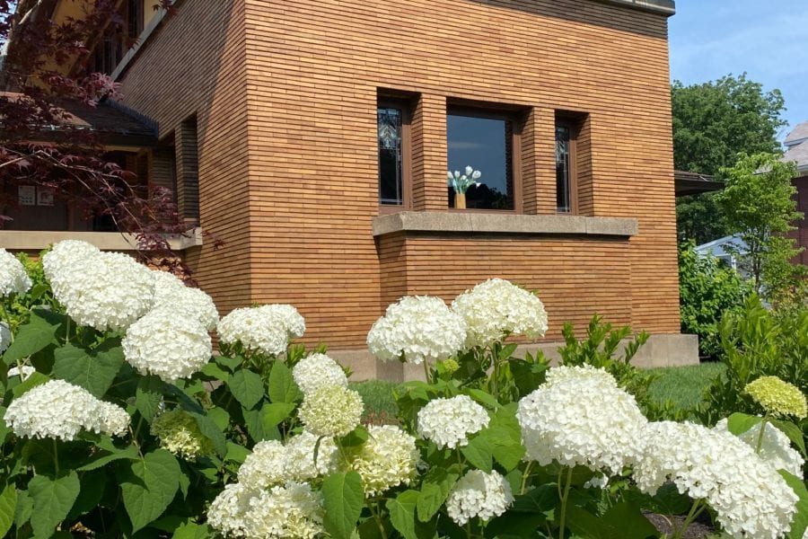 Martin House Landscaping