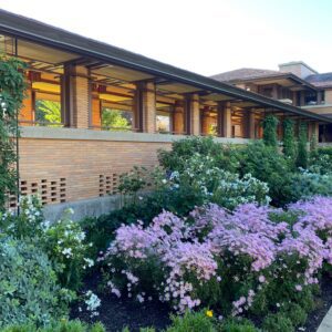 Pergola and landscape
