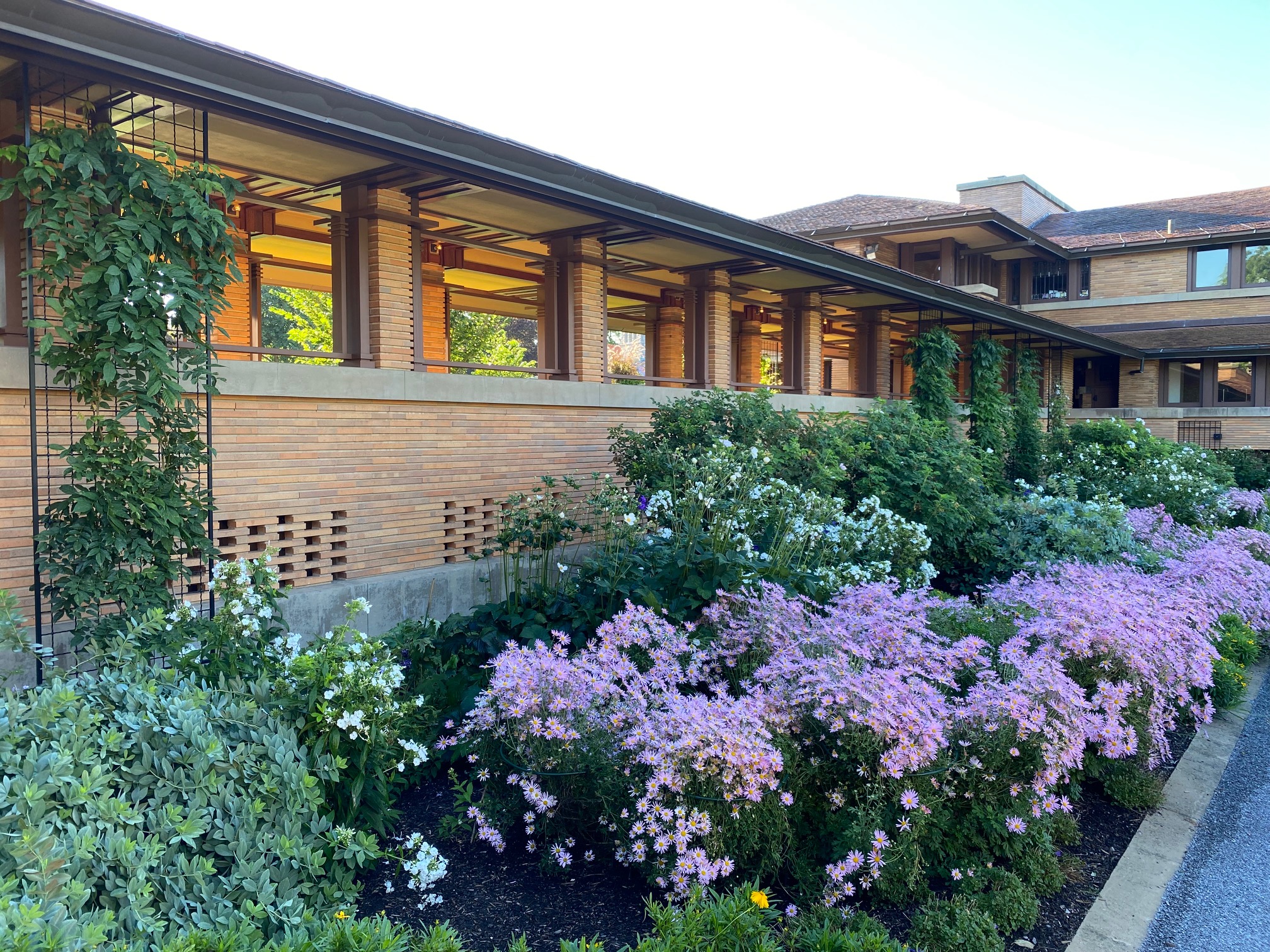 Pergola and landscape