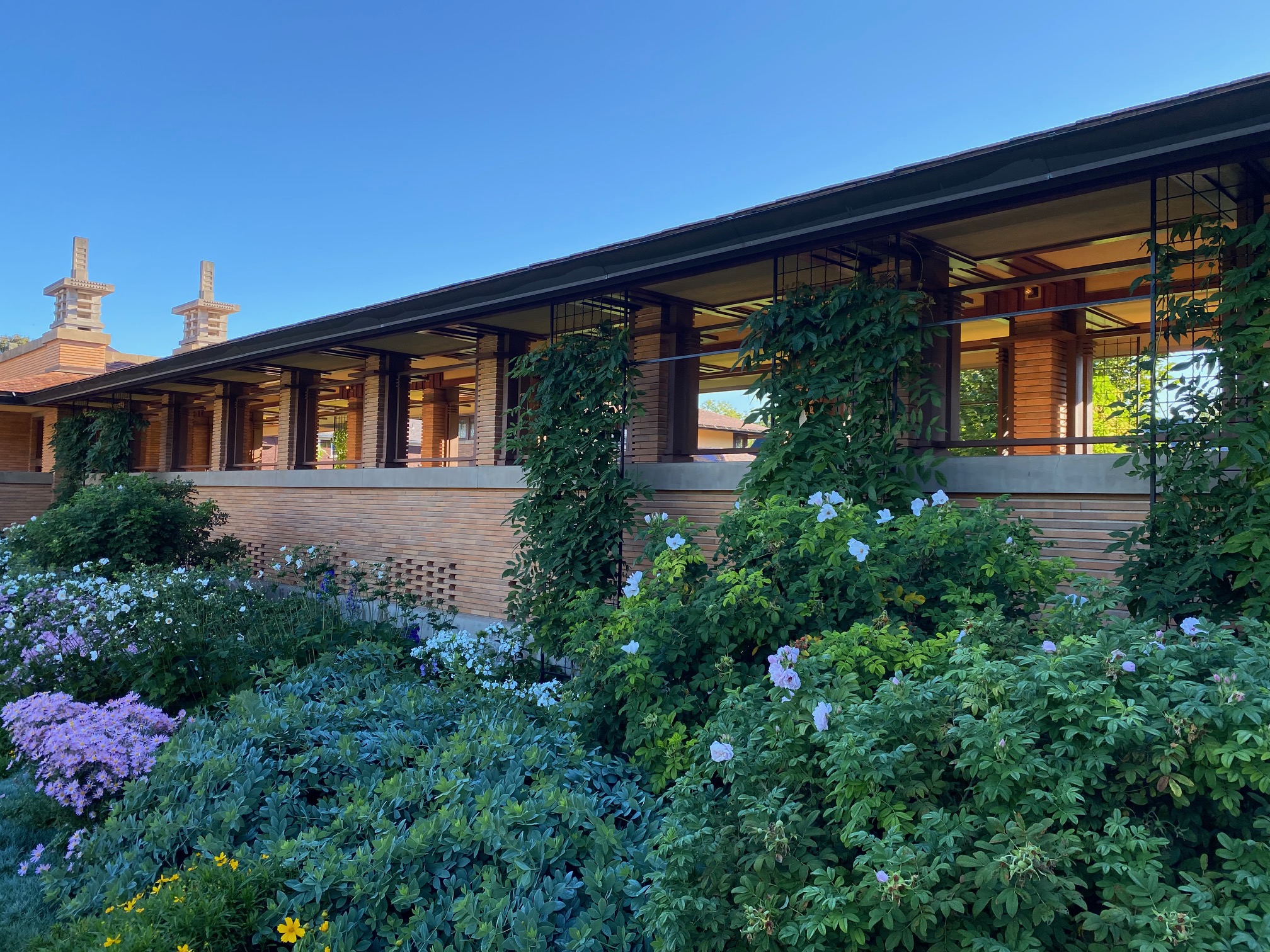 The Wright Way: Bayer Landscape & the Rehabilitation